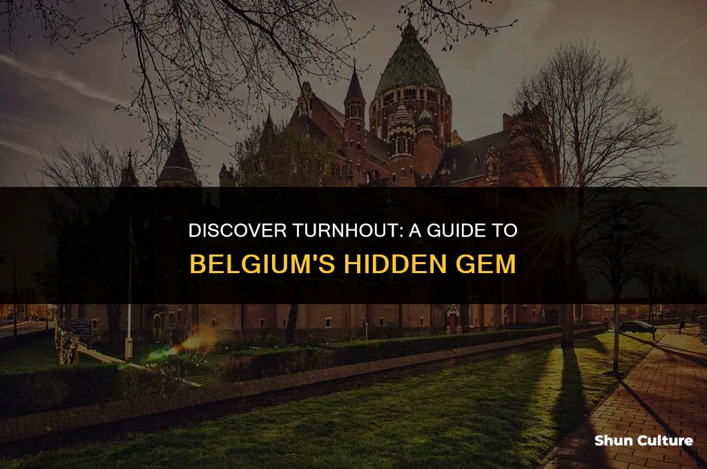 what to do in turnhout belgium