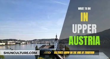 Uncover Upper Austria's Hidden Gems: Adventure Awaits!