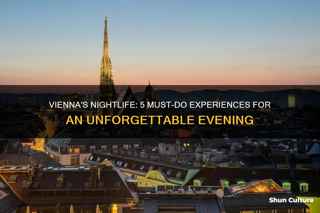 what to do in vienna austria at night