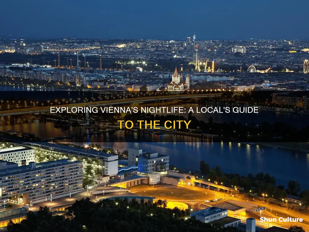 what to do in vienna austria at night