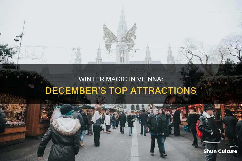 what to do in vienna austria in december