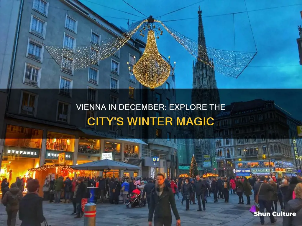 what to do in vienna austria in december