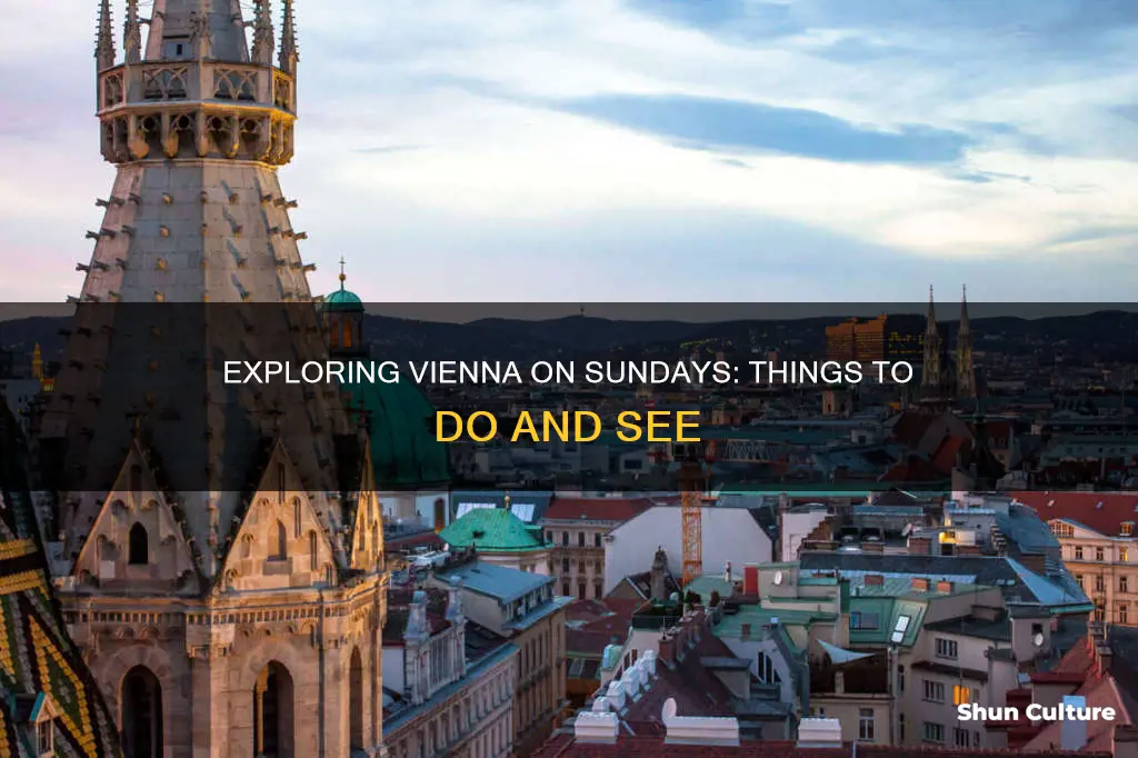 what to do in vienna austria on a sunday