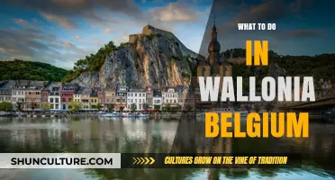 Exploring Wallonia: Unveiling Belgium's Hidden Gem