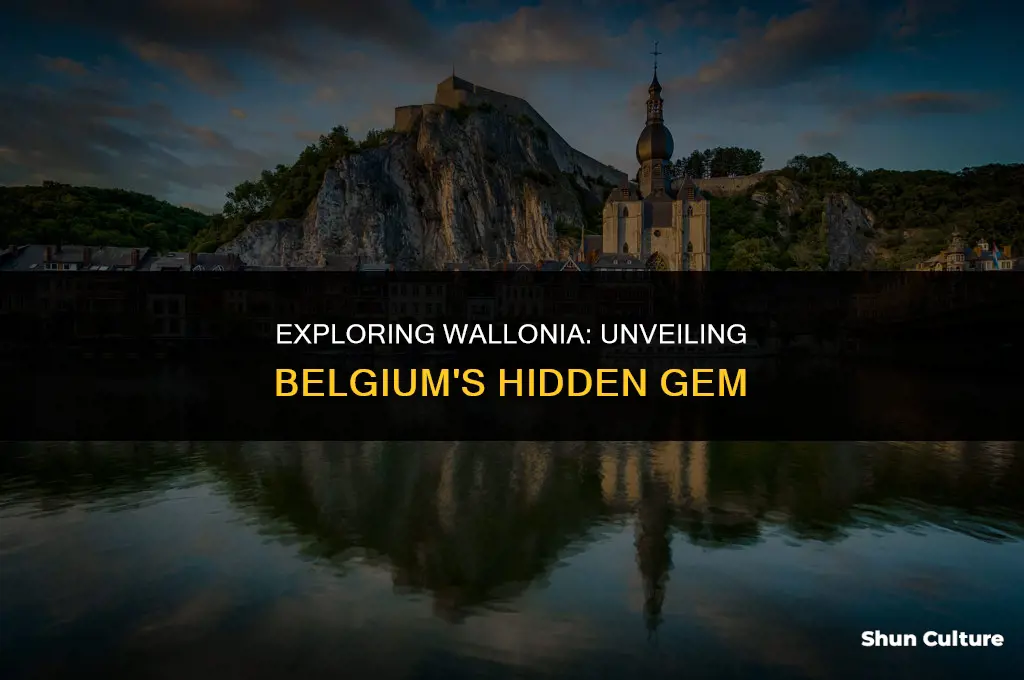 what to do in wallonia belgium