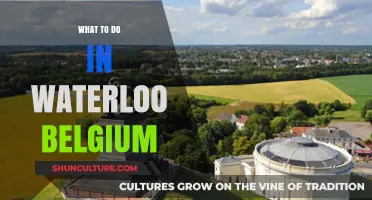 Exploring Waterloo, Belgium: A Guide to Historical Sites and Local Delights