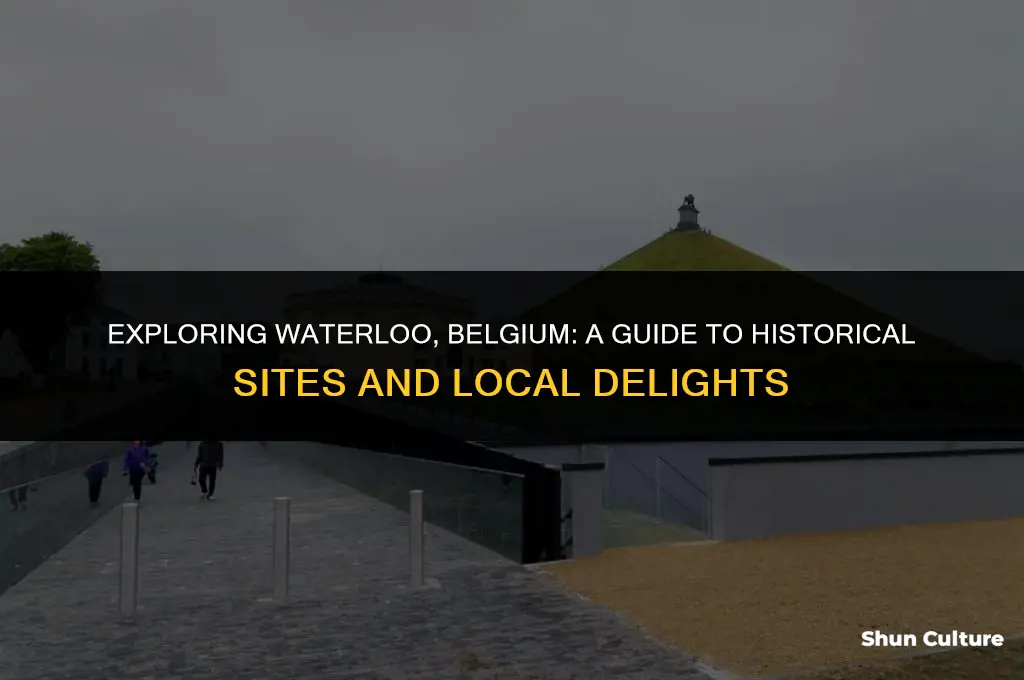 what to do in waterloo belgium