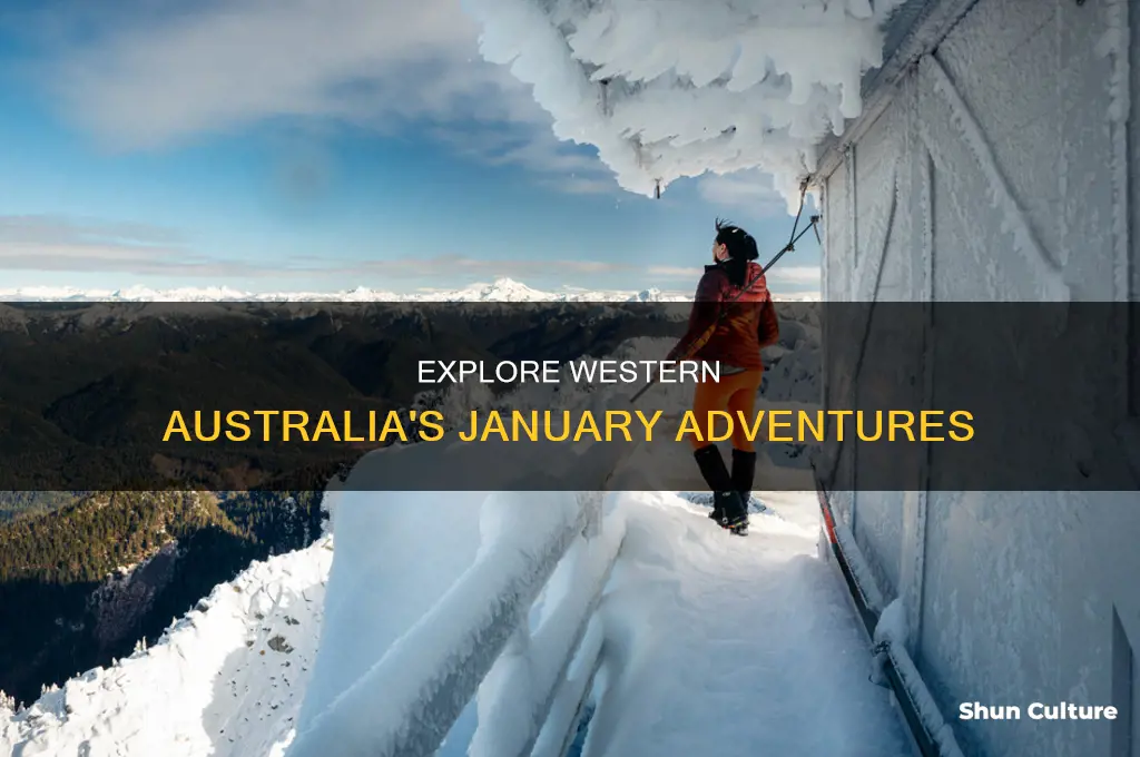 what to do in western australia in january