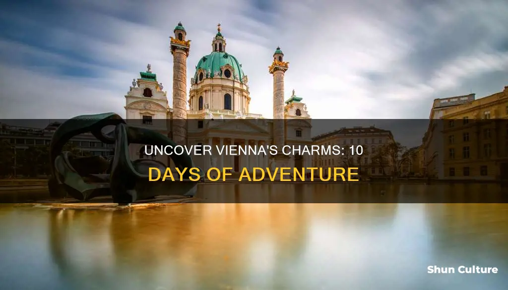 what to do in wien austria