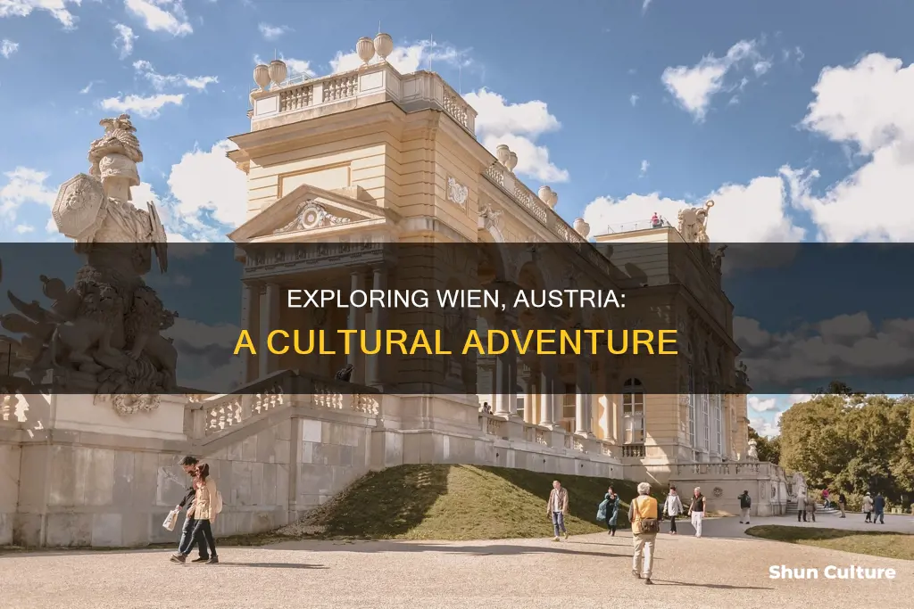 what to do in wien austria