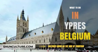 Exploring Ypres: A Guide to Belgium's Historic Gem