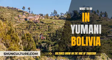 Exploring Yumani, Bolivia: A Travel Guide to the Island's Charm