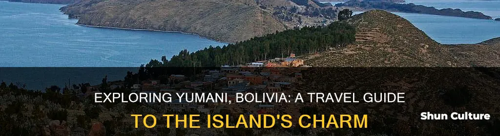 what to do in yumani bolivia