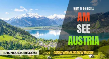 Zell am See: Adventure, Relaxation, and Austrian Charm