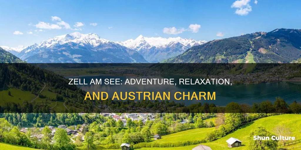 what to do in zell am see austria