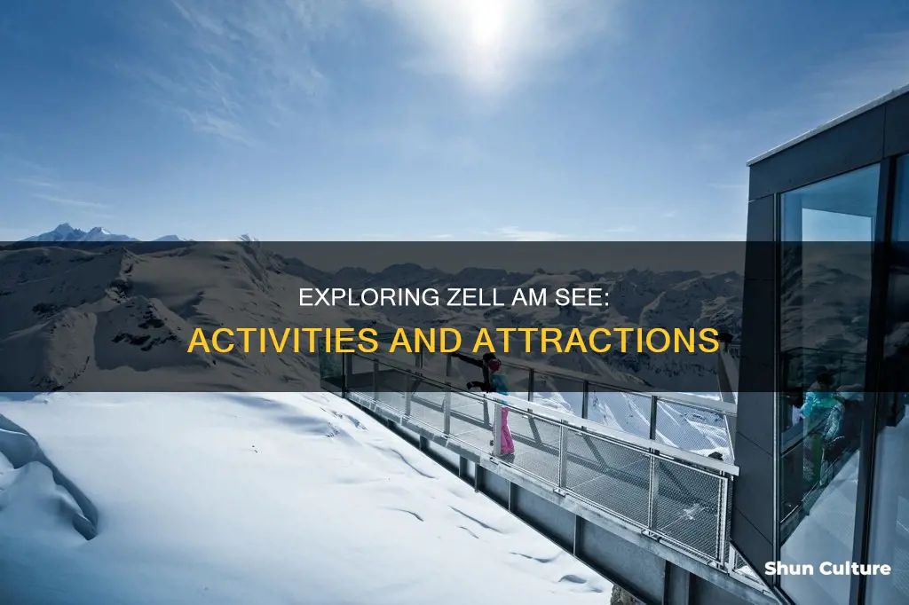 what to do in zell am see austria