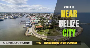 Belize City: Adventure and Relaxation