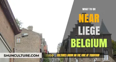 Discover the Hidden Gems: Things to Do Near Liege, Belgium