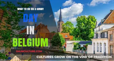 Sunny Escapes: Unveiling Belgium's Best Kept Secrets for a Perfect Day Out