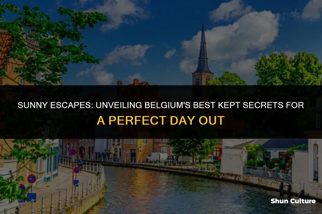 what to do on a sunny day in belgium