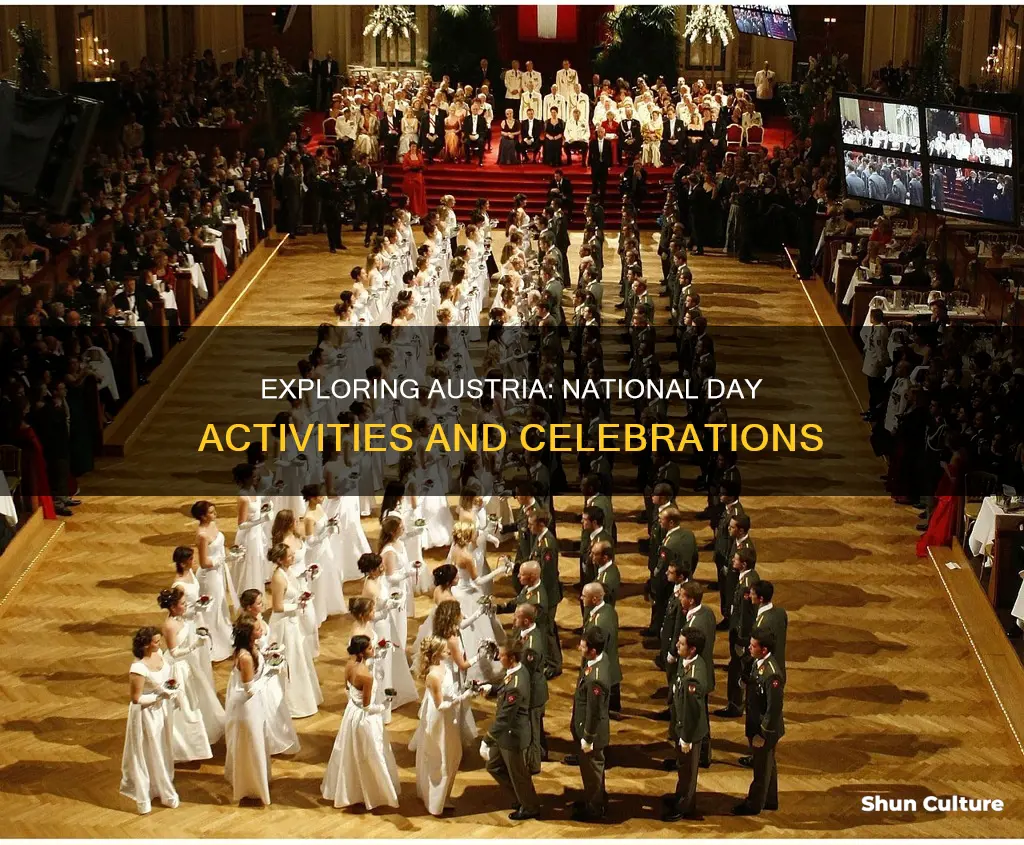 what to do on austrian national day