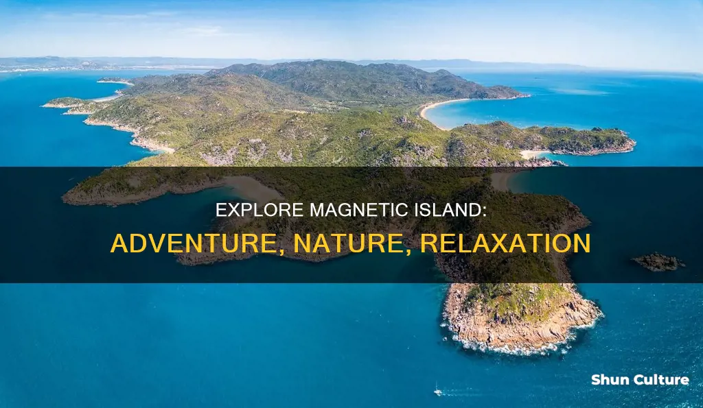 what to do on magnetic island australia