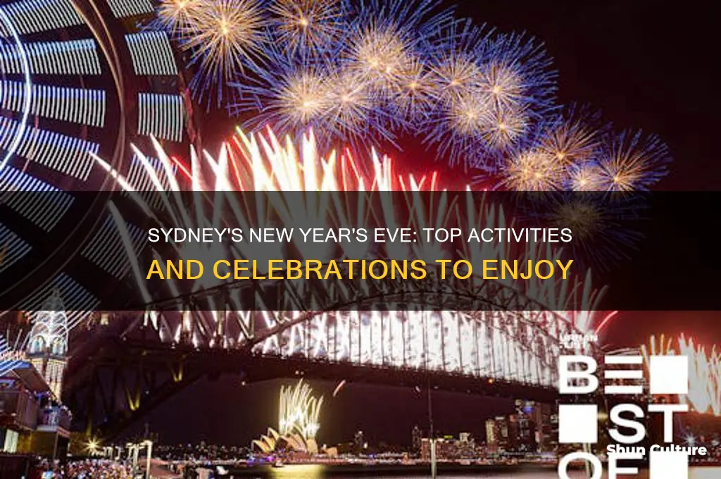 what to do on new years eve in sydney australia