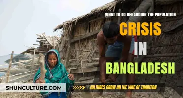 Addressing Bangladesh's Population Crisis: Strategies for Sustainable Growth and Development