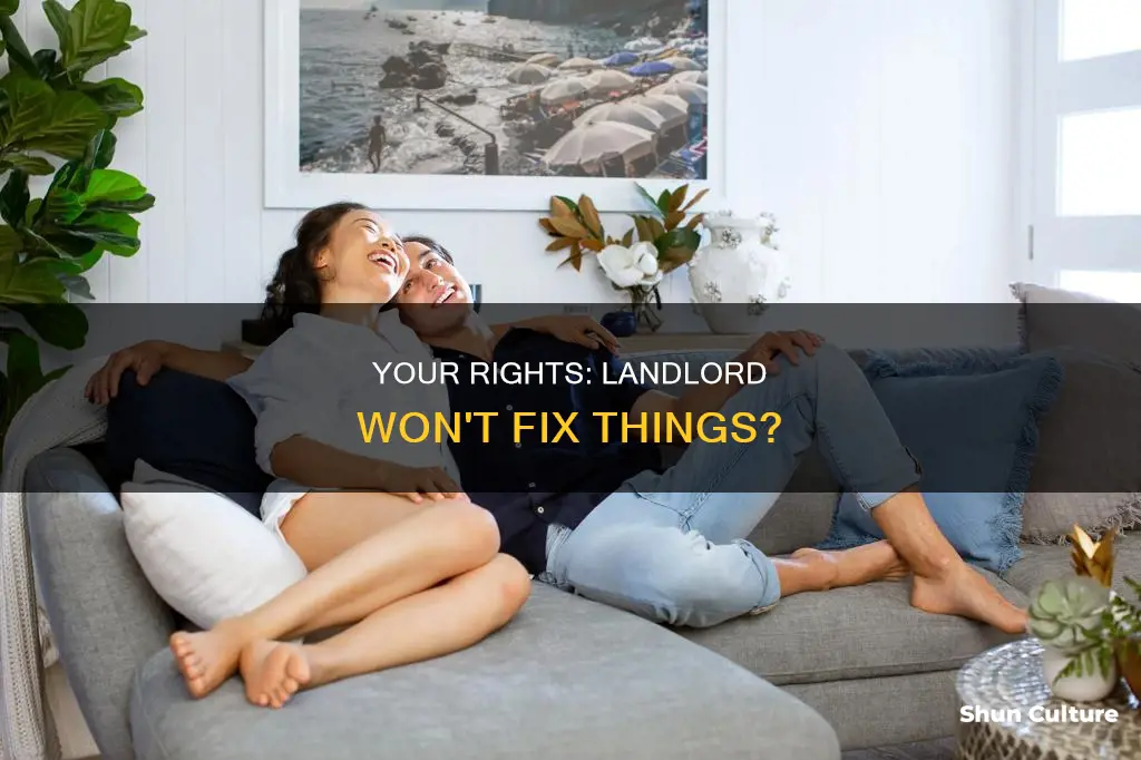 what to do when landlord won