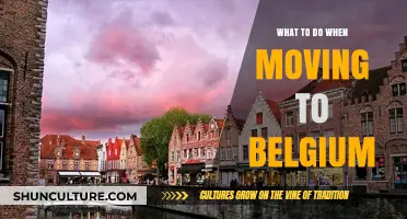 Essential Steps for a Smooth Move to Belgium