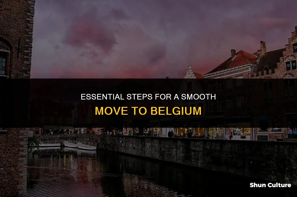 what to do when moving to belgium