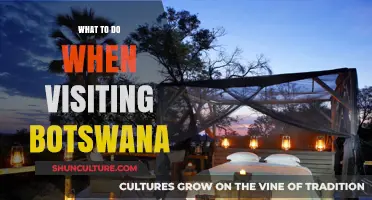 Exploring Botswana: Top Activities and Must-See Destinations for Visitors
