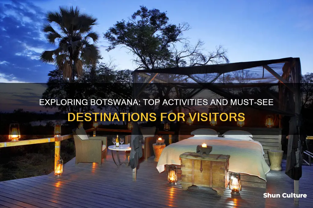 what to do when visiting botswana