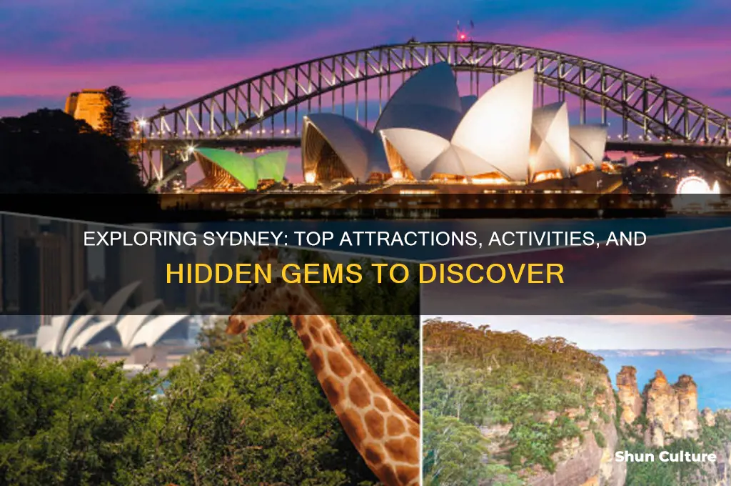 what to do when visiting sydney australia