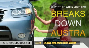 Car Breakdowns: What to Do and Where to Turn