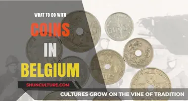 Exploring Belgium's Coin Culture: A Guide to Collecting and Spending