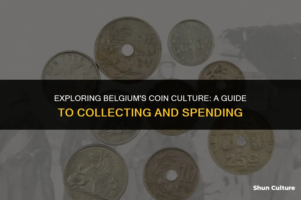 what to do with coins in belgium