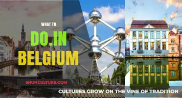 Discover Belgium: A Guide to Unforgettable Experiences
