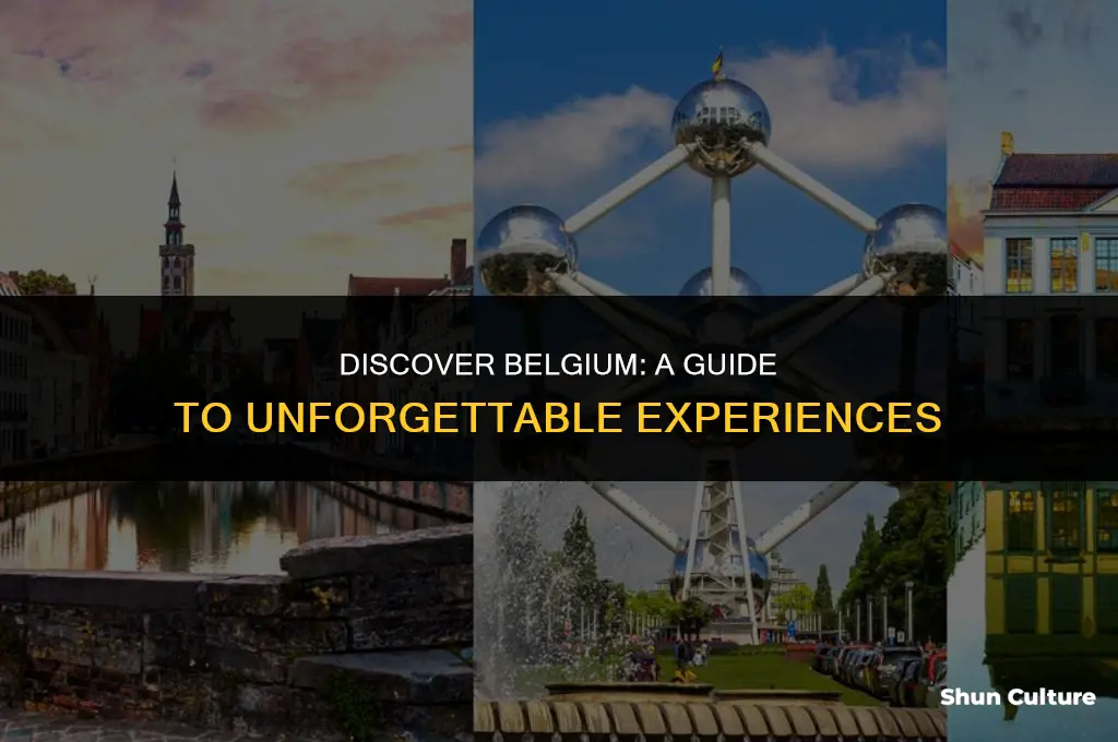 what to do.in belgium