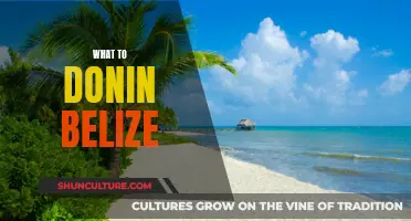 Belize Adventure: Explore the Best Activities
