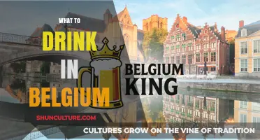 Exploring Belgium's Best Brews: A Guide to Must-Try Drinks