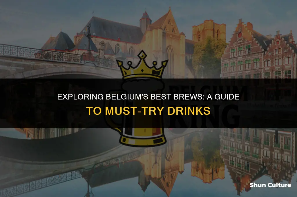 what to drink in belgium