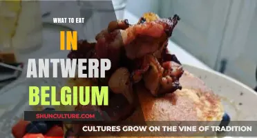 Discover Antwerp's Culinary Delights: A Foodie's Guide