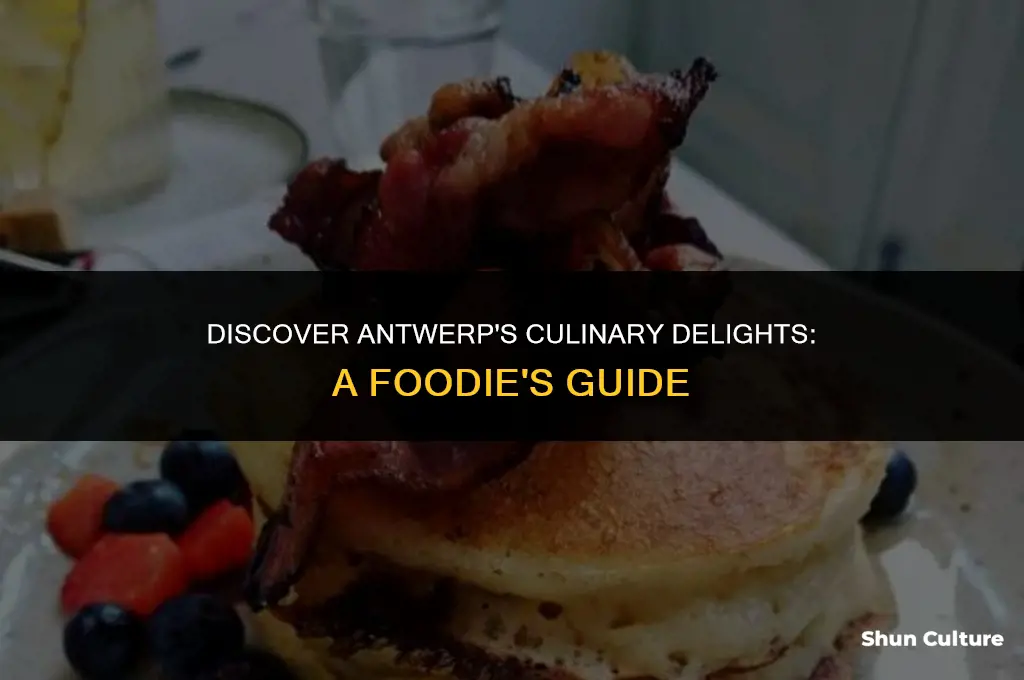 what to eat in antwerp belgium