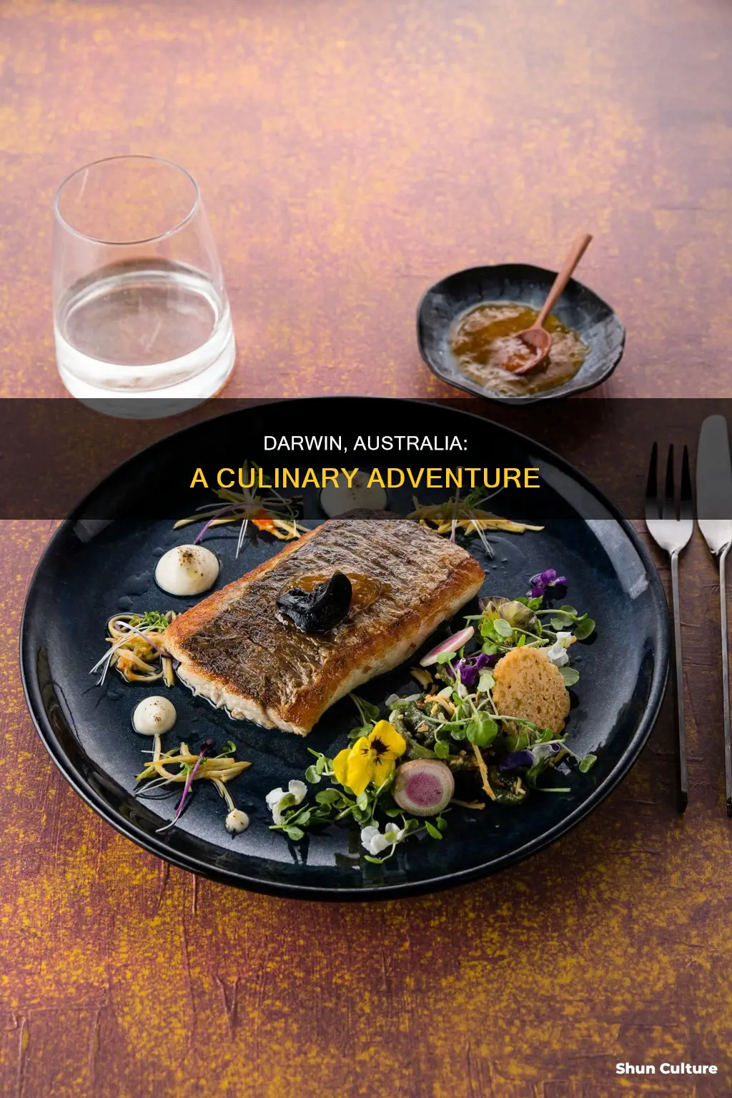 what to eat in darwin australia