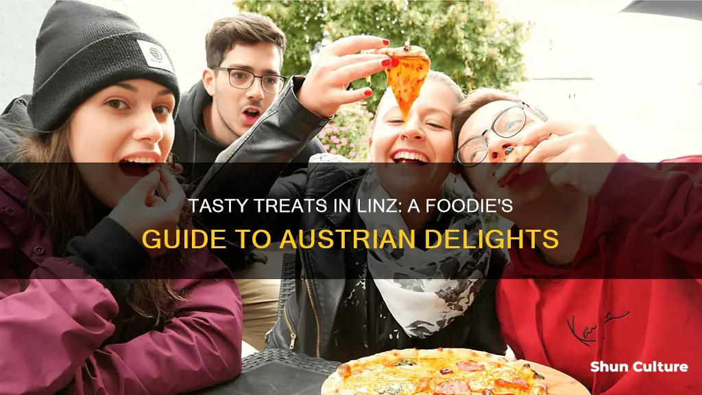 what to eat in linz austria