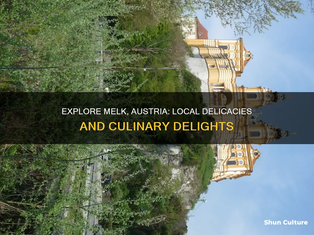 what to eat in melk austria