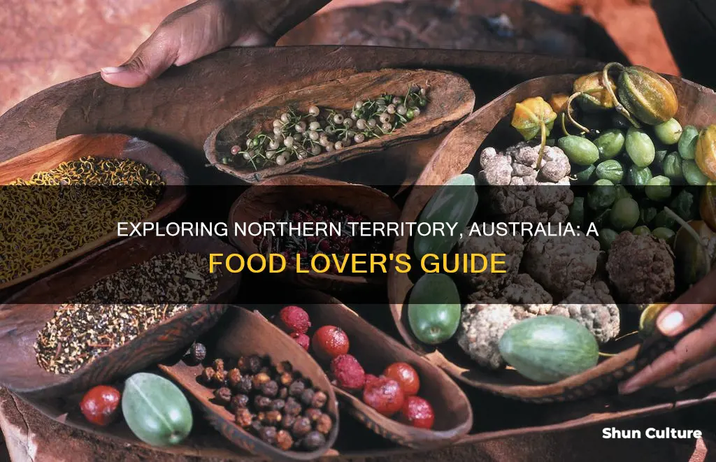 what to eat in northern territory australia
