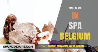 Discover the Best Local Cuisine to Savor in Spa, Belgium