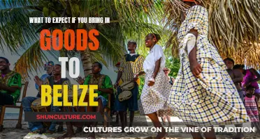 Customs and Duties: Goods Entry to Belize